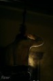 /album/fotogaleria/a13958219-545059029028896-3924459093510346996-o-jpg/